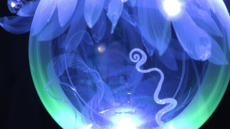 best alien perfume