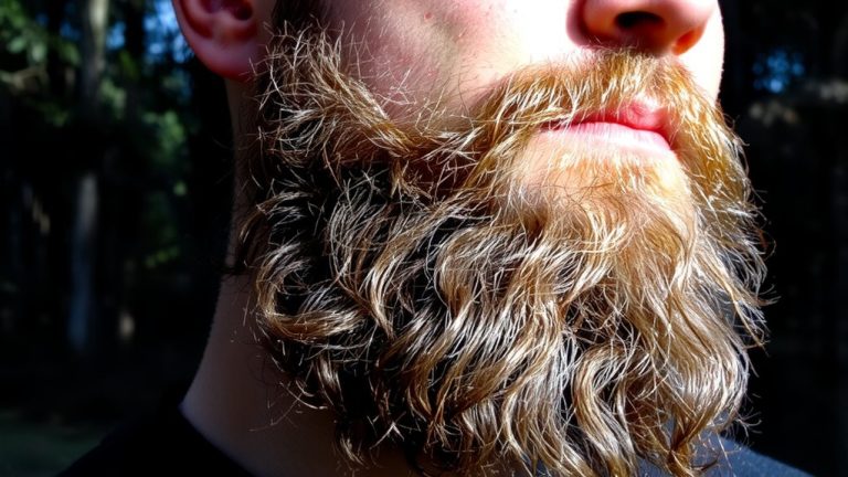best beard images