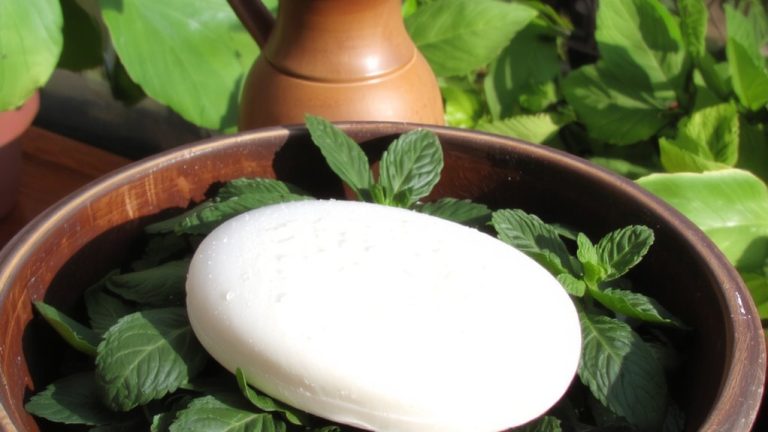 best goat milk soap