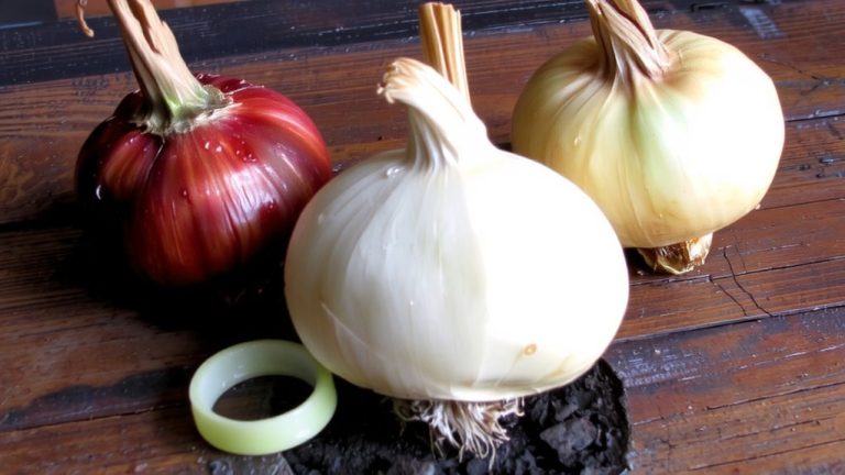 best onion for hair