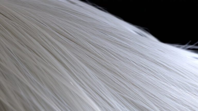 best silver hair color