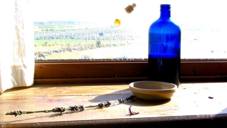 best smelling essential oil