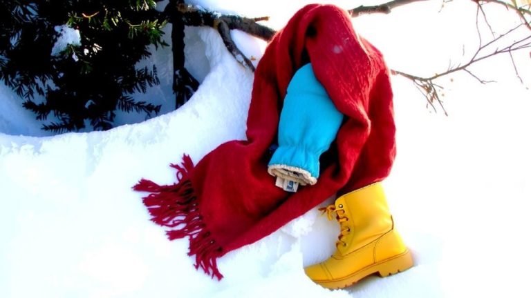 bright winter best colors