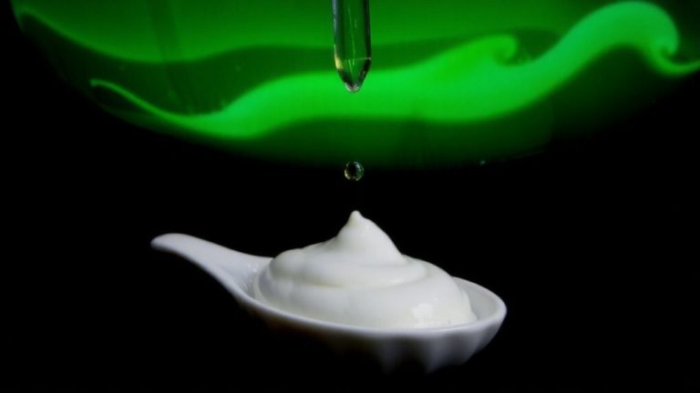 fermented ingredients enhance absorption