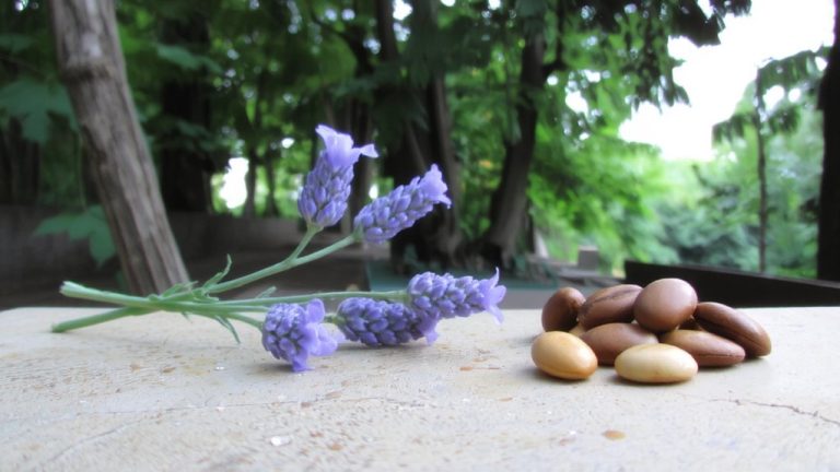 fresh foug re lavender coumarin colognes