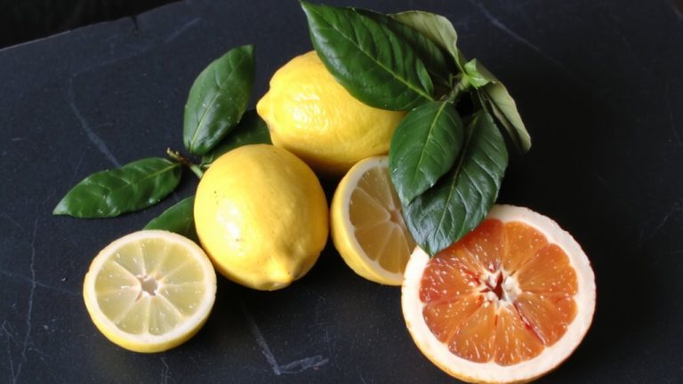 identify citrus by scent