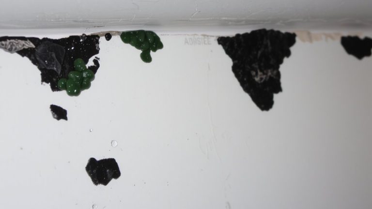 magnification lenses detect hidden mold