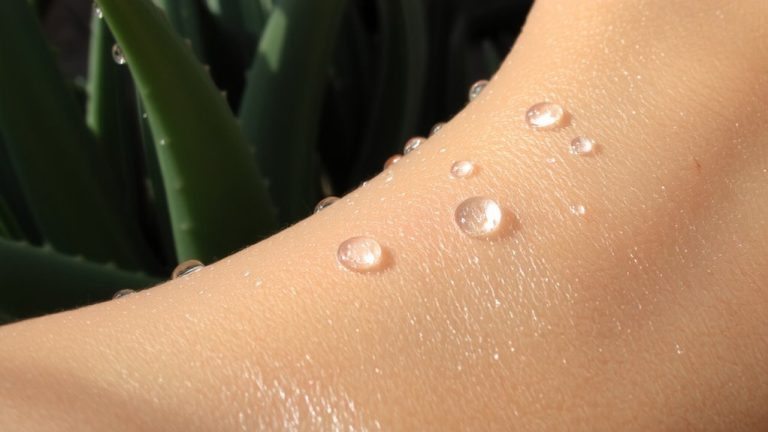 prebiotic moisturizers for skin health
