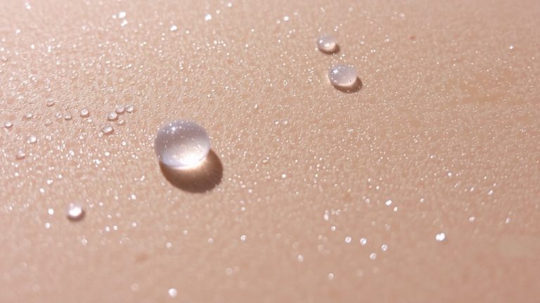 sodium pca moisture replenishment