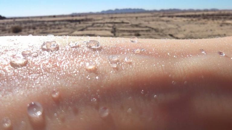 trehalose moisturizers for climate protection