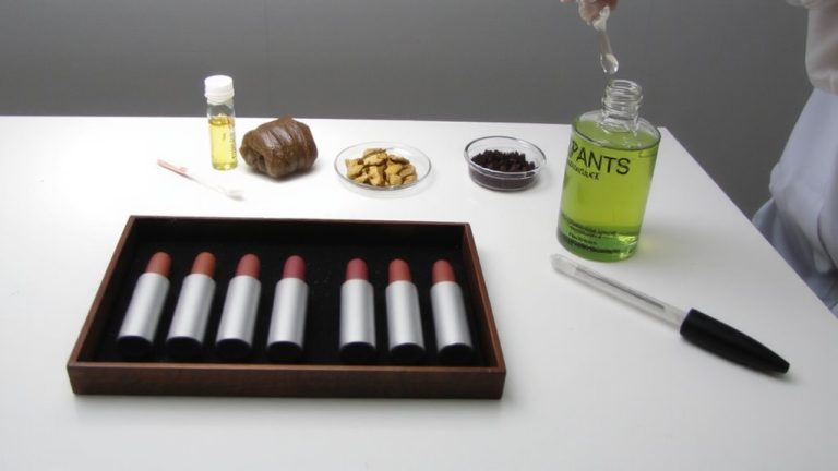 vegan certified plant lipstick standards