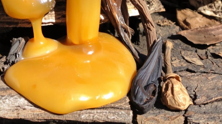 warm resinous long lasting amber